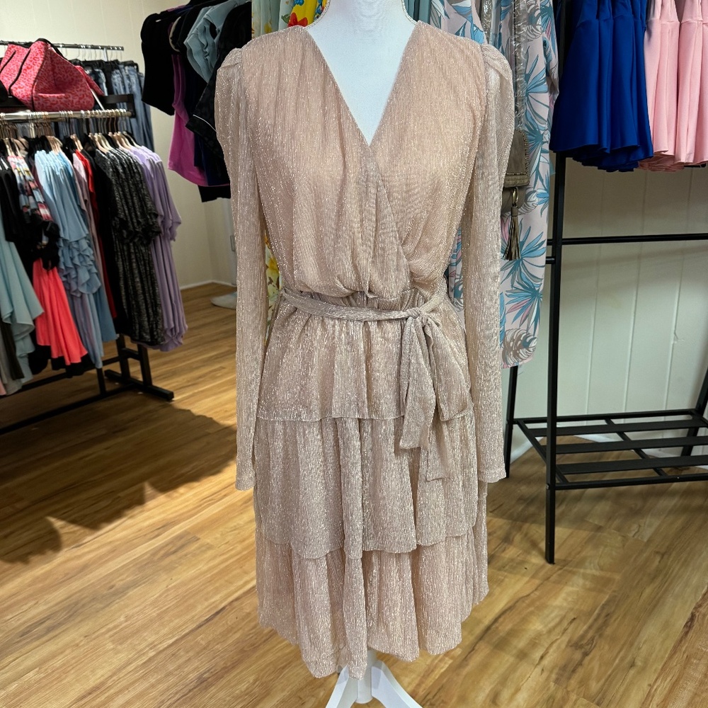 Roses And Romance Glitter Dress NEW